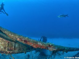 Bonaire