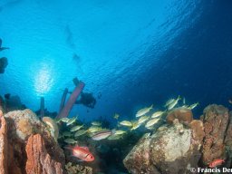 Bonaire