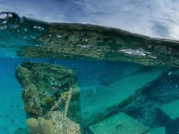 Bonaire