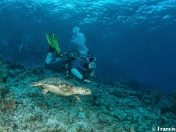 Bonaire