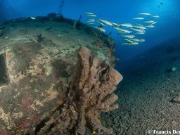 Bonaire