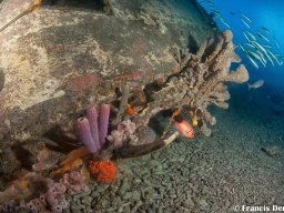 Bonaire