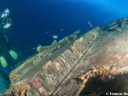 Bonaire