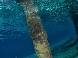 Bonaire